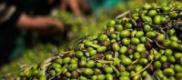 /album/camilamudra/images-2-jpg1/